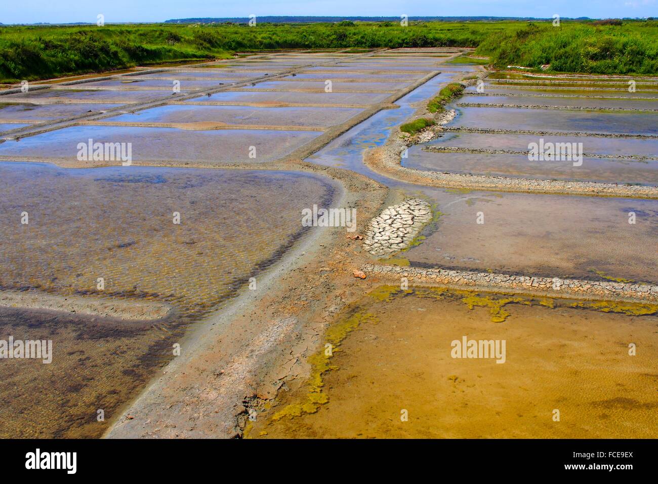 France-Loire Atlantique- Guerande.the 'Pays Blanc' (White Land), because of its salt marshes Stock Photo