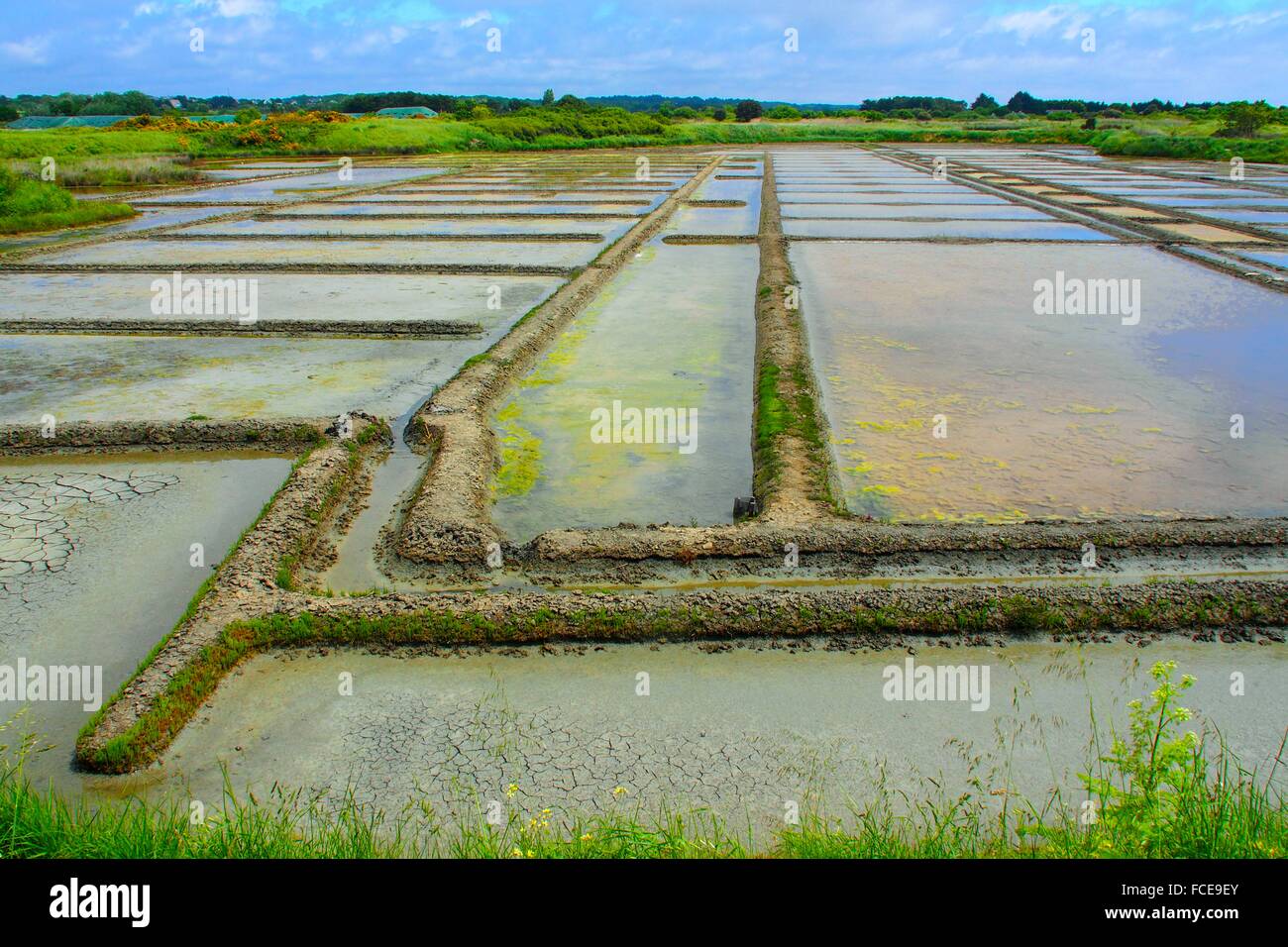 France-Loire Atlantique- Guerande.the 'Pays Blanc' (White Land), because of its salt marshes Stock Photo