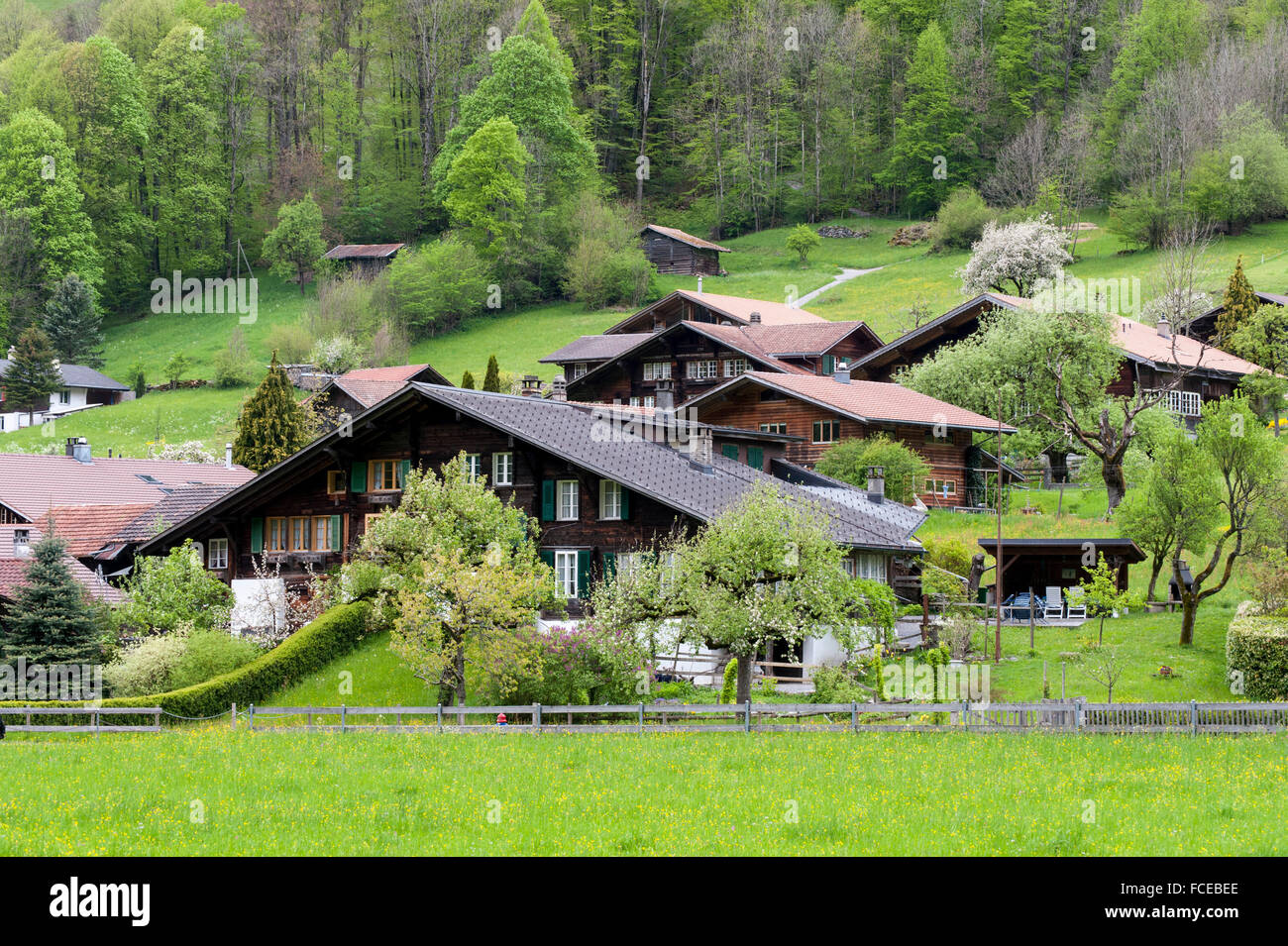 Houses in Lötschental, UNESCO World Heritage Site Swiss Alps Jungfrau