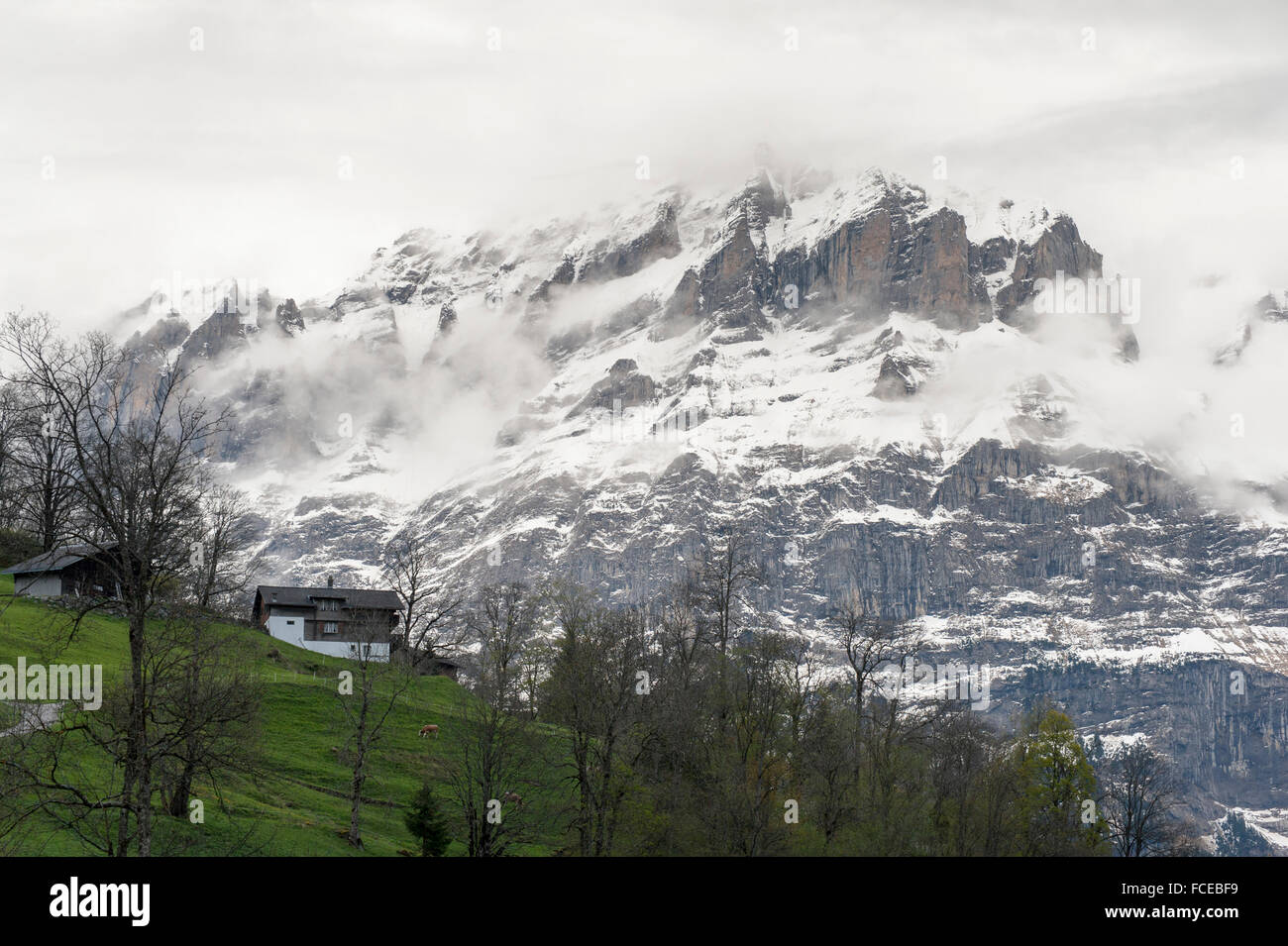 Grindelwald, farm house, Wetterhorn, UNESCO World Heritage Site Swiss Alps Jungfrau-Aletsch, canton Bern, Bernese Oberland, Swit Stock Photo