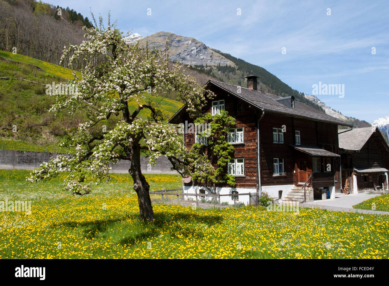 mountain village Elm, UNESCO World Heritage Site Swiss Tectonic Arena Sardona, Kanton Glarus, Switzerland Stock Photo