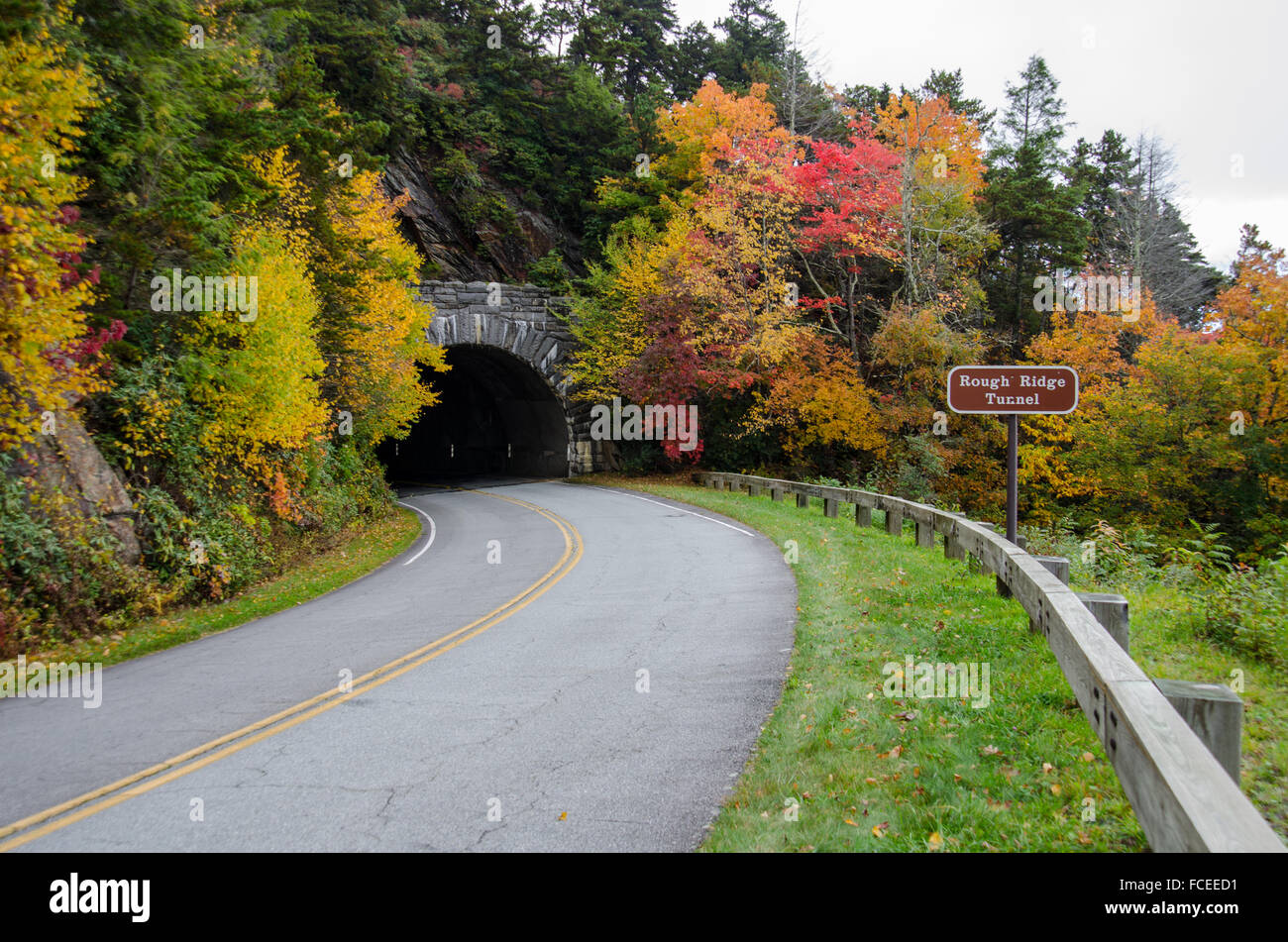 Tunnel autumn road hi-res stock photography and images - Alamy