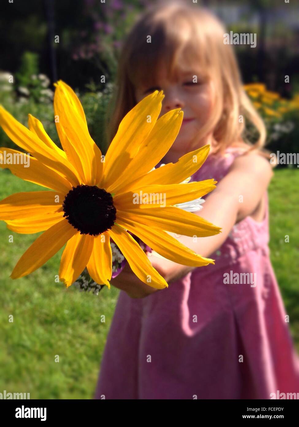 Portrait A Girl Holding Flower Stock Photo - Alamy
