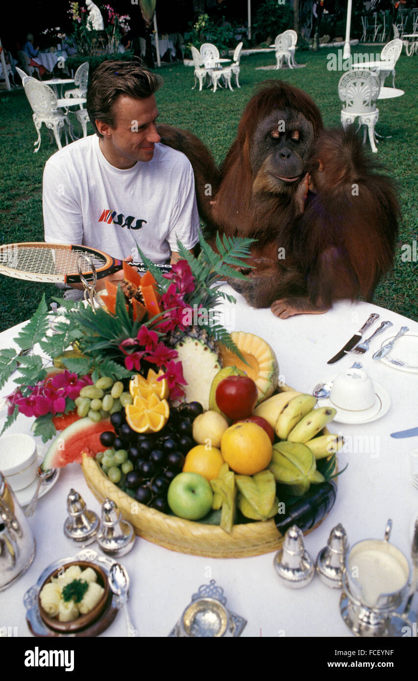 Bjorn Borg breakfasts with Ah Meng in Singapore Stock Photo - Alamy