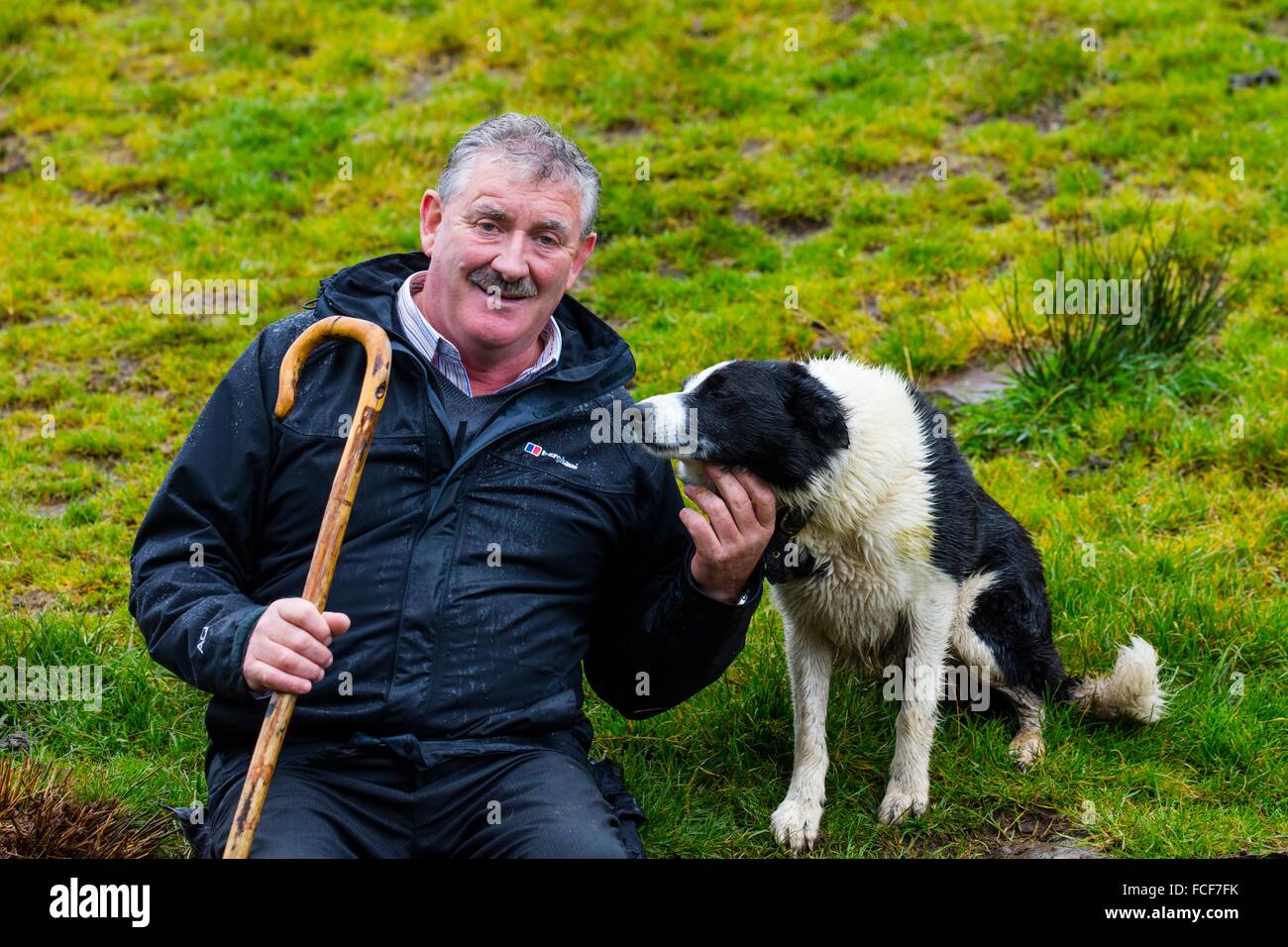 Farmer Brendan Ferris, Sheep-dog Trial, Caitins, Kells Area, Ring of ...