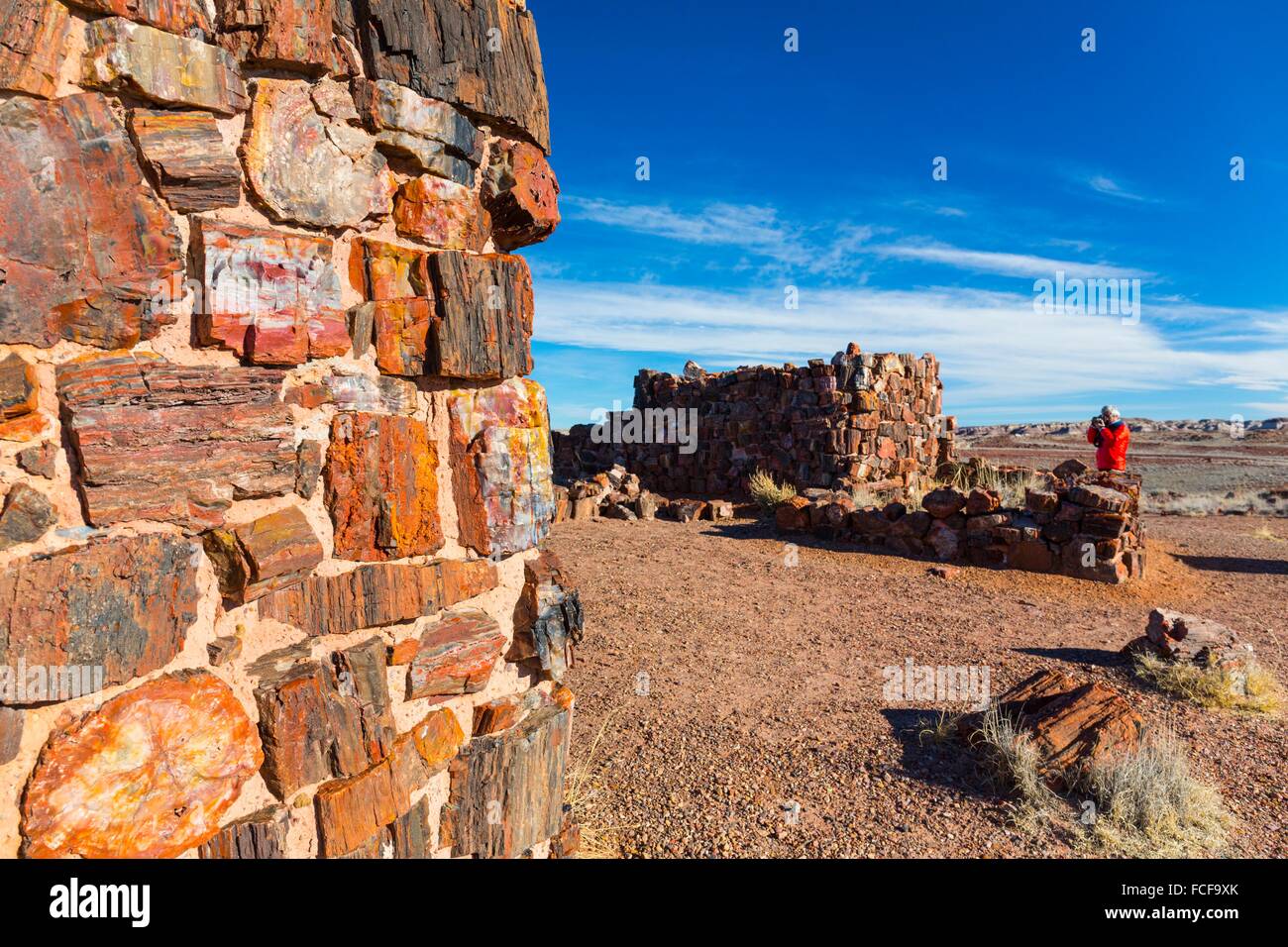 Agate house', Reconstruction of Indian Pueblo, Petrified Forest