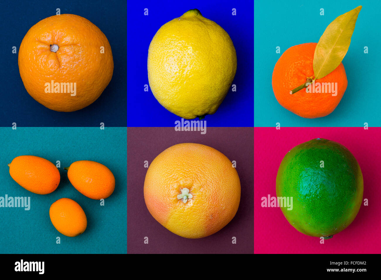 Citrus fruits assorted. Stock Photo