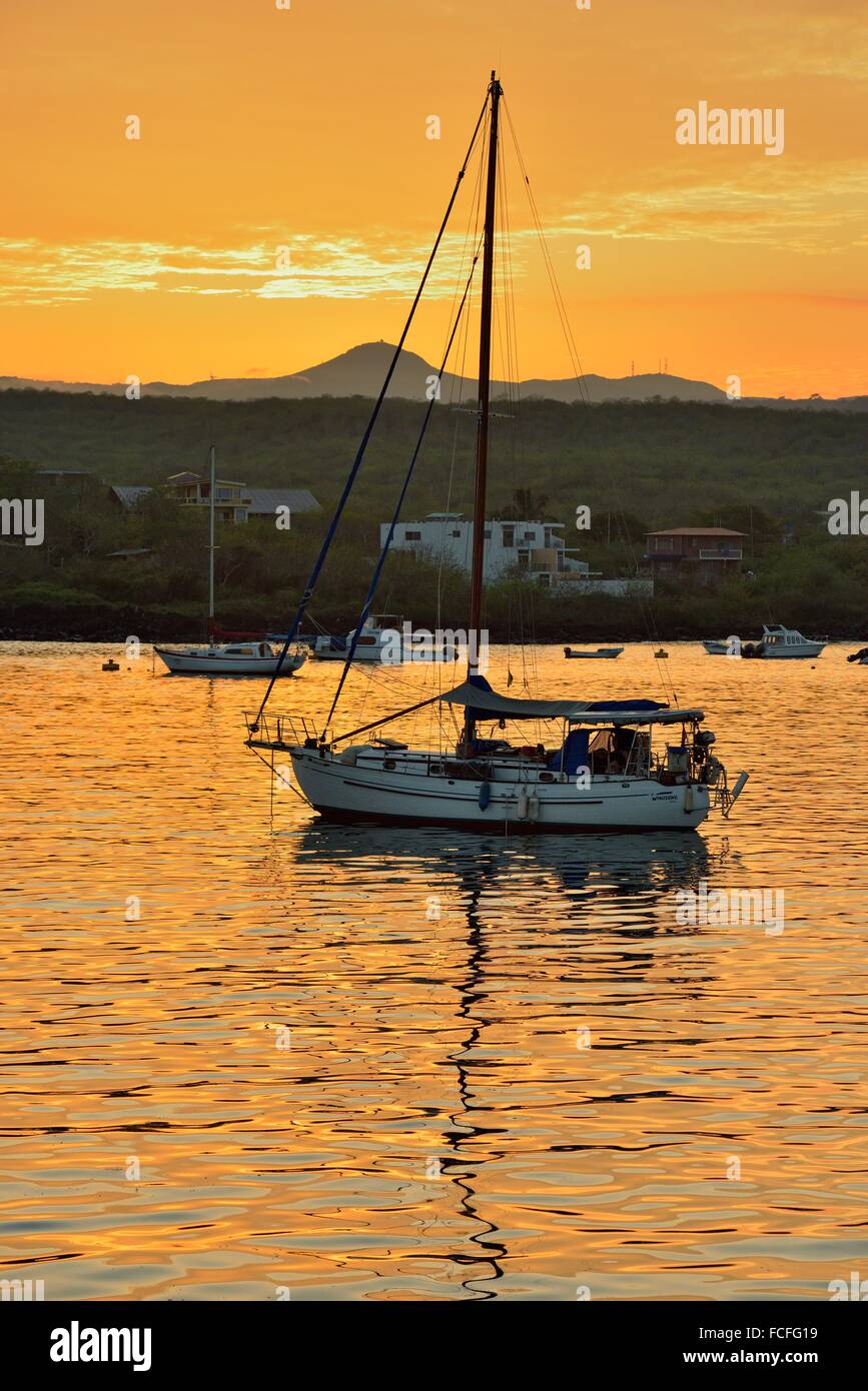 Dawn skies and moored pleasurecraft in Wreck Bay, Puerto Baquerizo Moreno, San Cristobal Island, Ecuador. Stock Photo