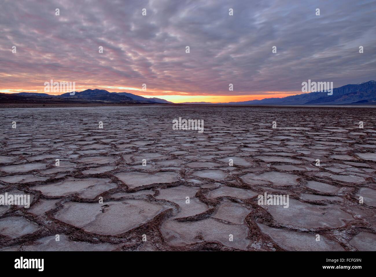 Cottonball Basin polygons at sunrise, Death Valley National Park, California, USA. Stock Photo