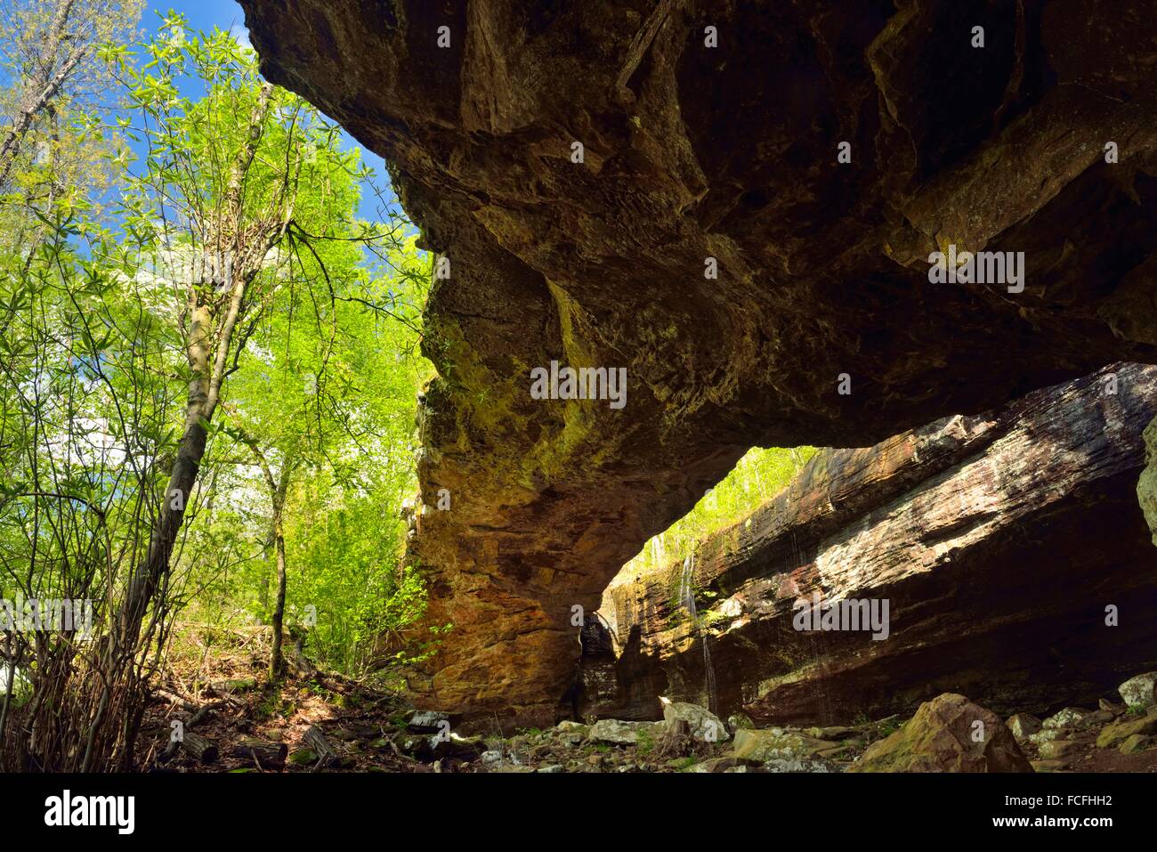 The Natural Bridge at Alum Cove, Buffalo National River, Arkansas, USA