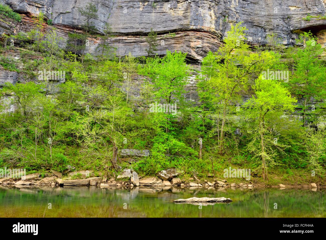 Cliffs and trees on the Buffalo River near Pruitt Landing, Buffalo
