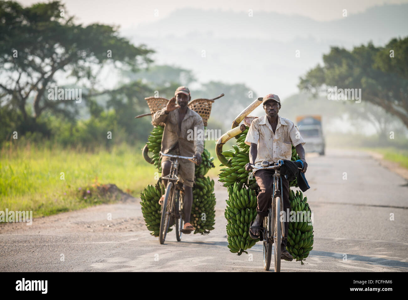 Man transports matooke by bicycle along main highway, Uganda, Europe Stock Photo