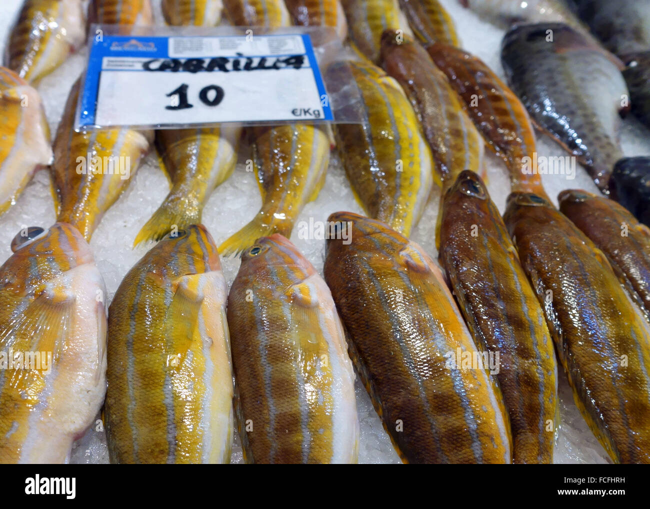 Cabrilla grouper fish on sale in food market in Santa Cruz de