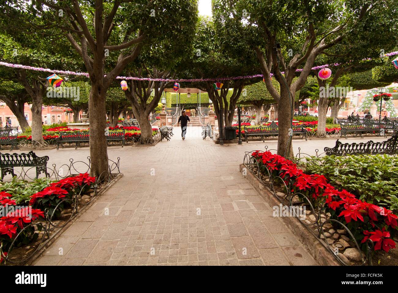 El Jardin, the central plaza in San Miguel de Allende, Mexico Stock Photo Alamy El Jardin, the central plaza in San Miguel de Allende, Mexico Stock Photo Alamy