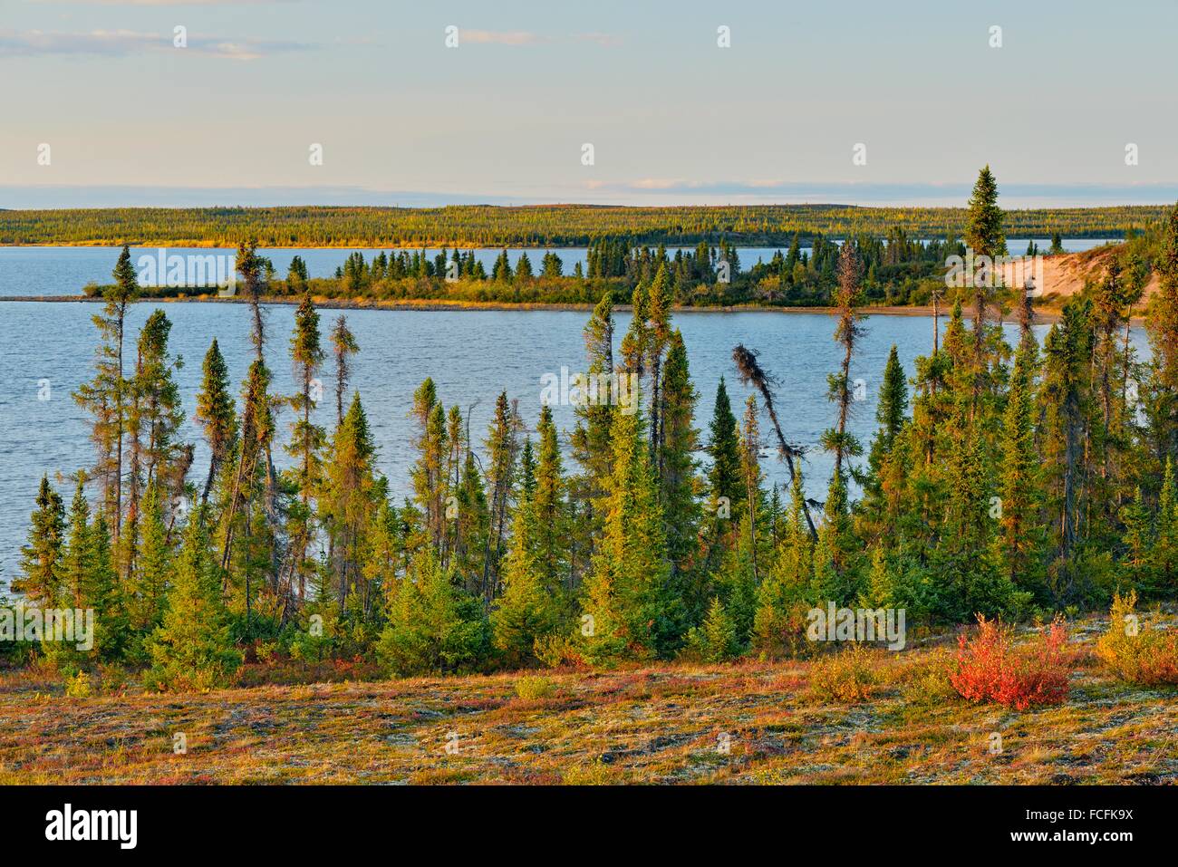 Ennadai lake hires stock photography and images Alamy