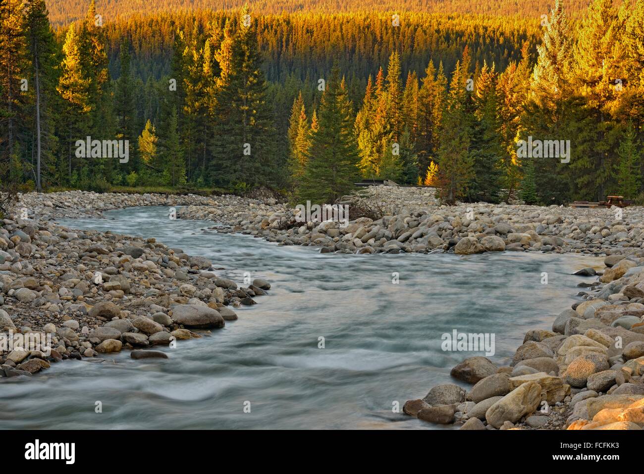 Baker Creek, Banff National Park, Alberta, Canada Stock Photo Alamy