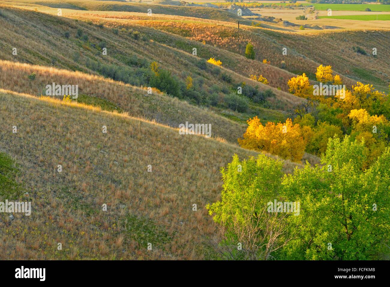 Prairie coulees natural area High Resolution Stock Photography and ...