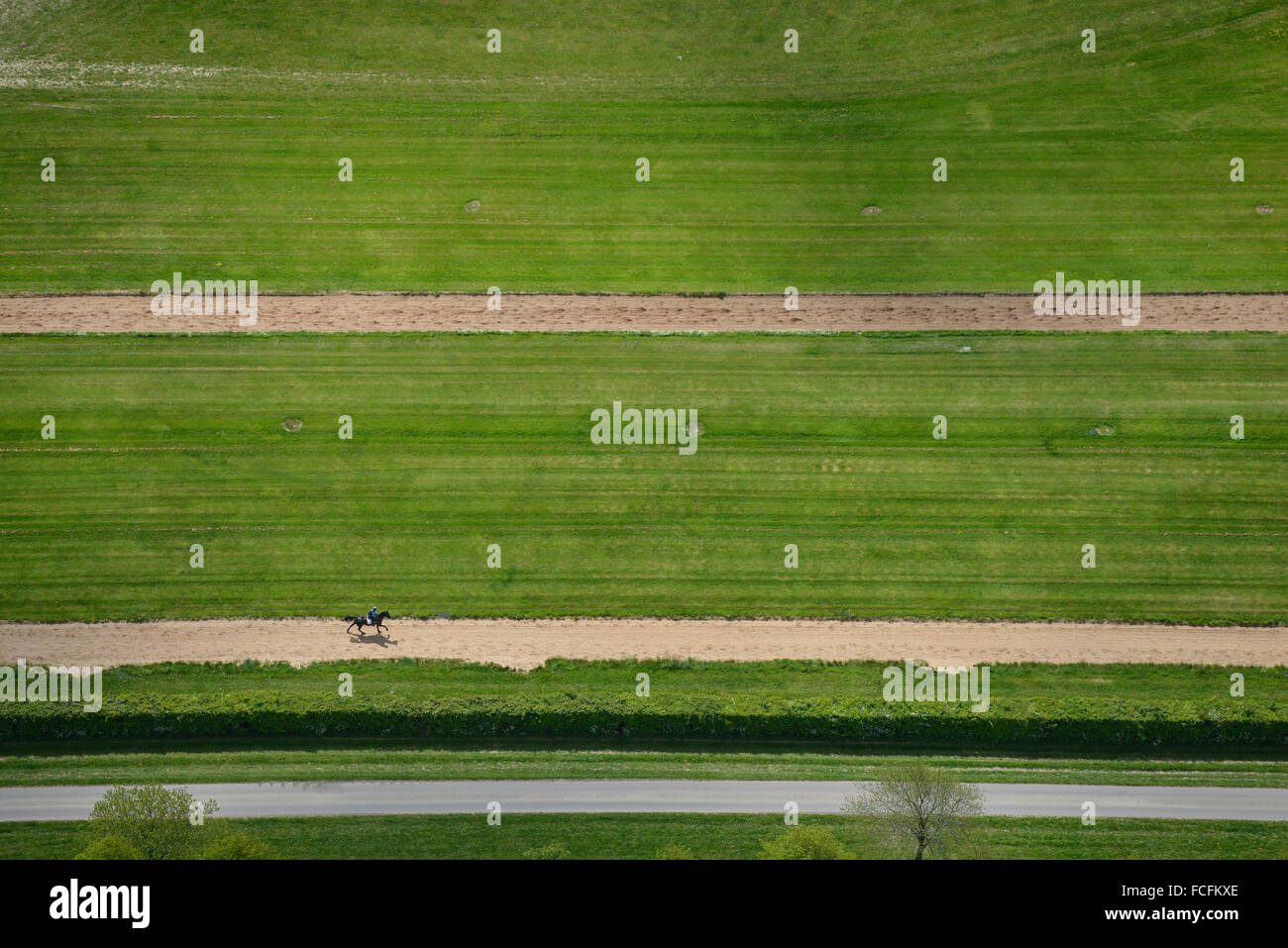 An aerial view of horse gallops near Newmarket Stock Photo