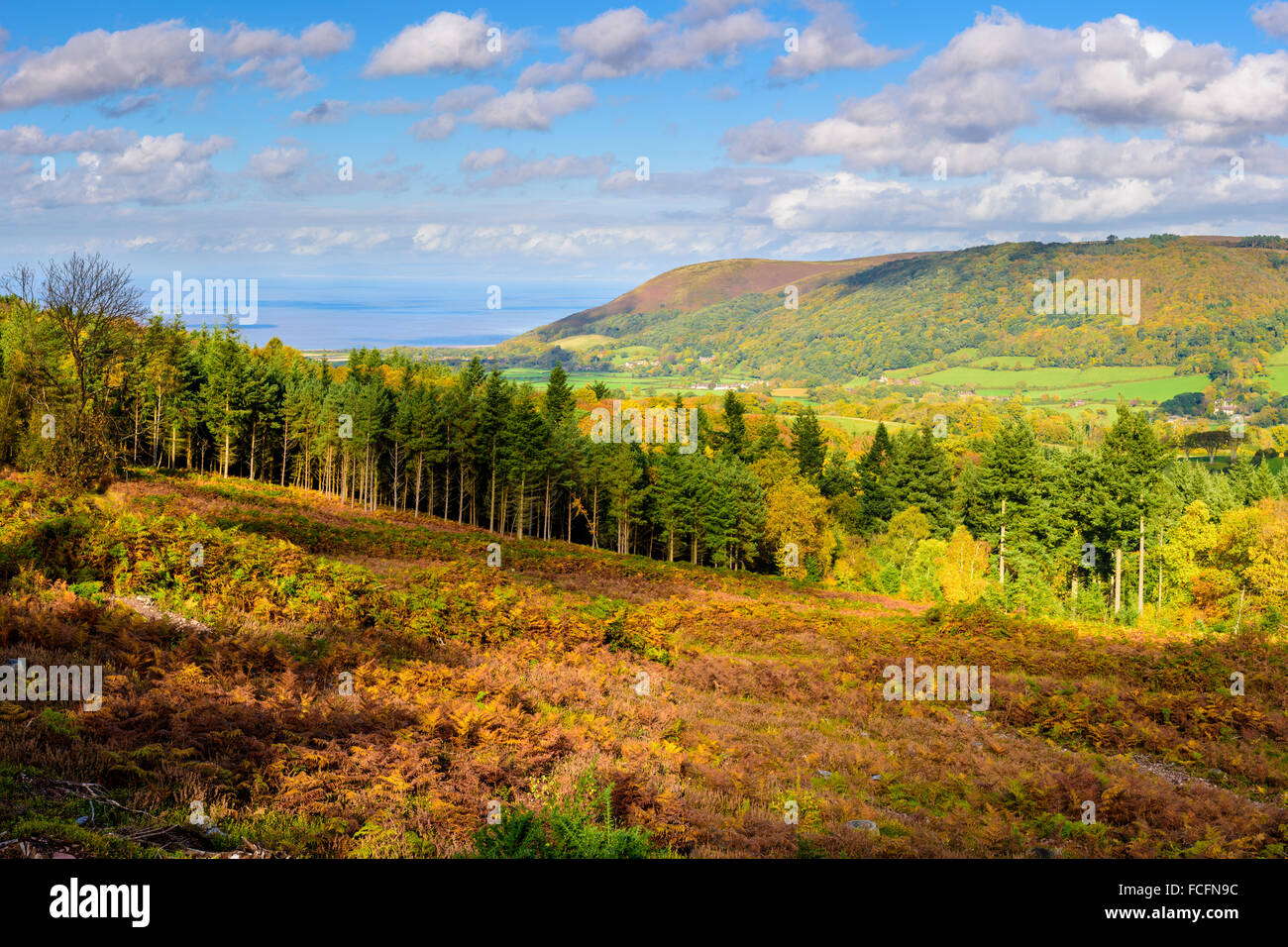 View from a clearing in Luccombe Plantation over Porlock Bay and Bossington. Exmoor, Somerset Stock Photo