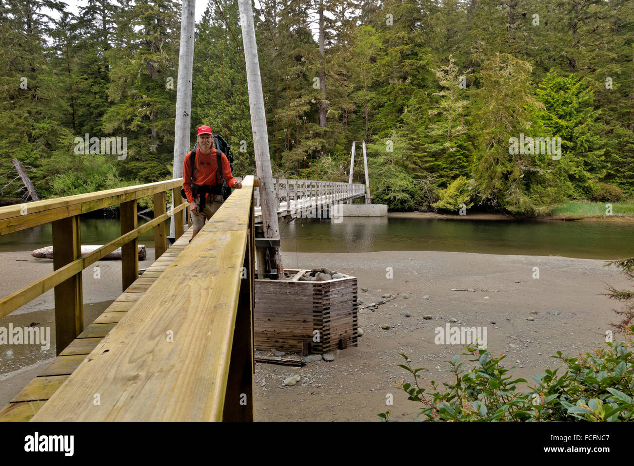 BRITISH COLUMBIA - Hiker crossing Cheewhat River bridge on Vancouver Island's West Coast Trail in Pacific Rim National Park. Stock Photo