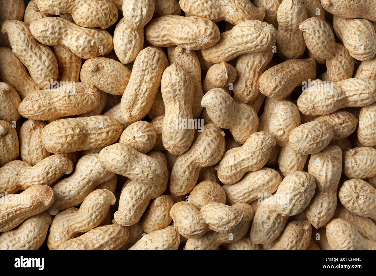 Roasted peanuts in the shell full frame close up Stock Photo