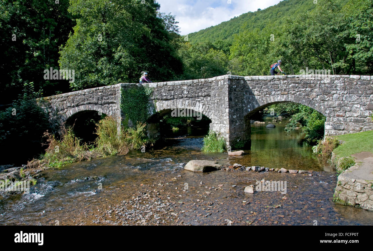 Fingle Bridge crossing the River Teign, Dartmoor Stock Photo