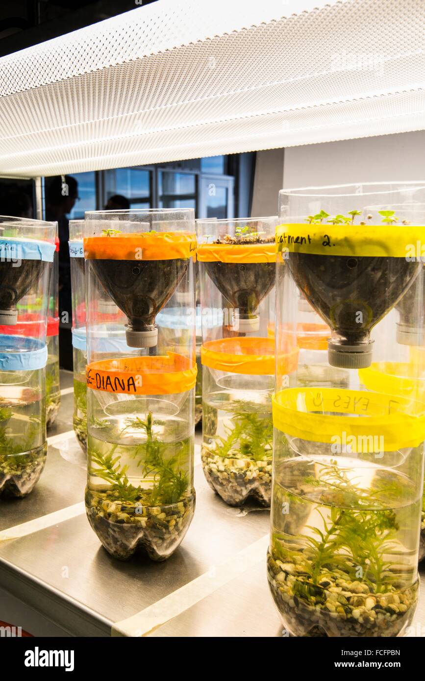 Science experiment in a lab at the Energy Environment Experiential Learning (EEEL) building at