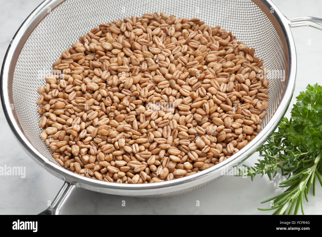 Raw Farro grains in a kitchen sieve Stock Photo
