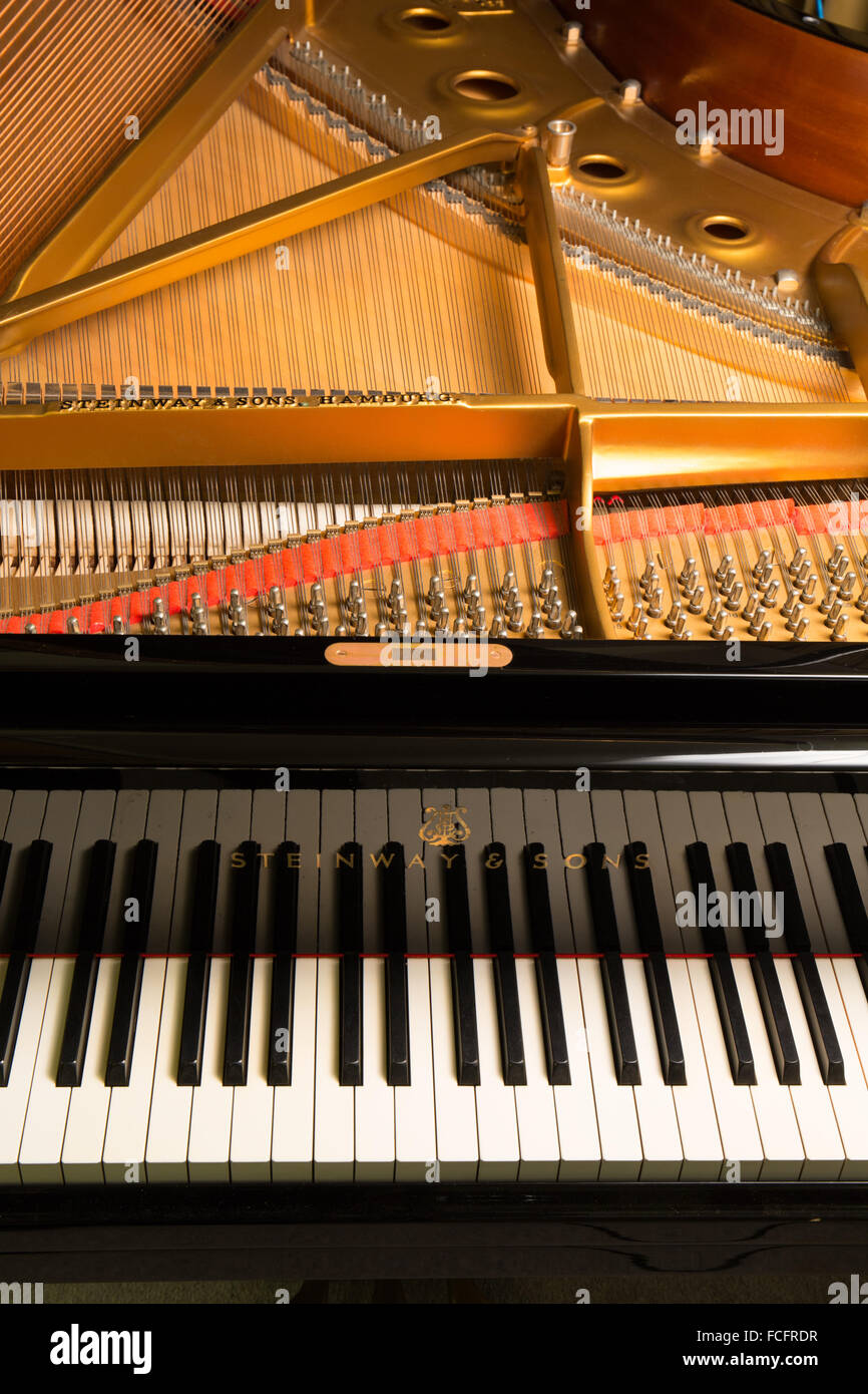 close up shot of a black steinway & sons model b grand piano with the lid  open showing the keys, strings and logo Stock Photo - Alamy