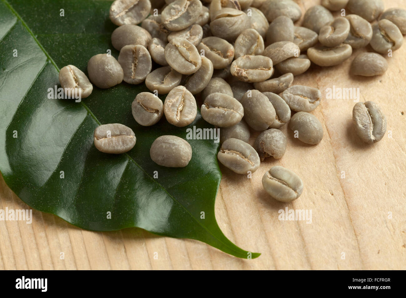 Heap of Pamwamba green unroasted coffee beans and a coffee plant leaf