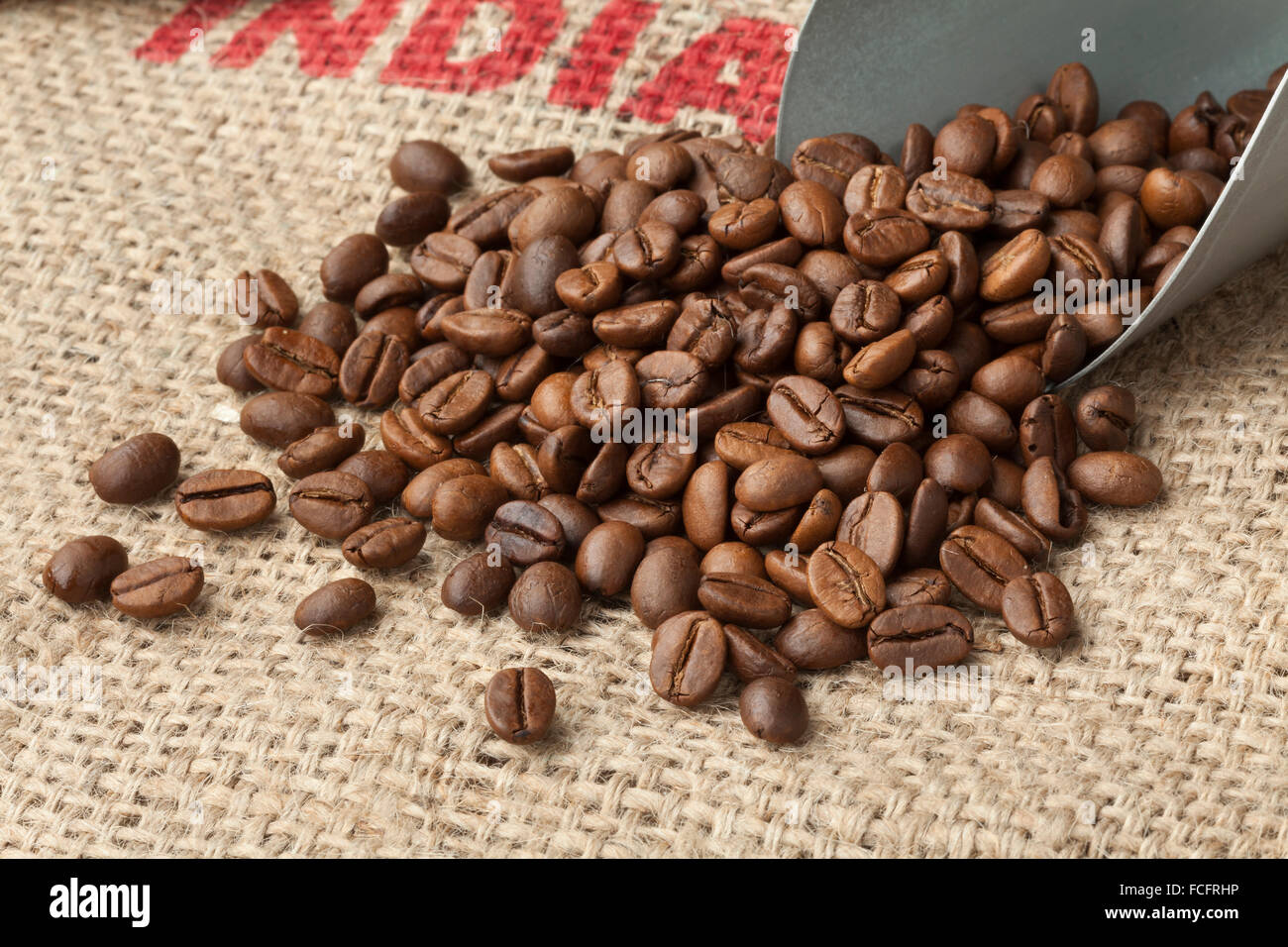 Roasted  Malabar coffee beans from India on a jute bag Stock Photo