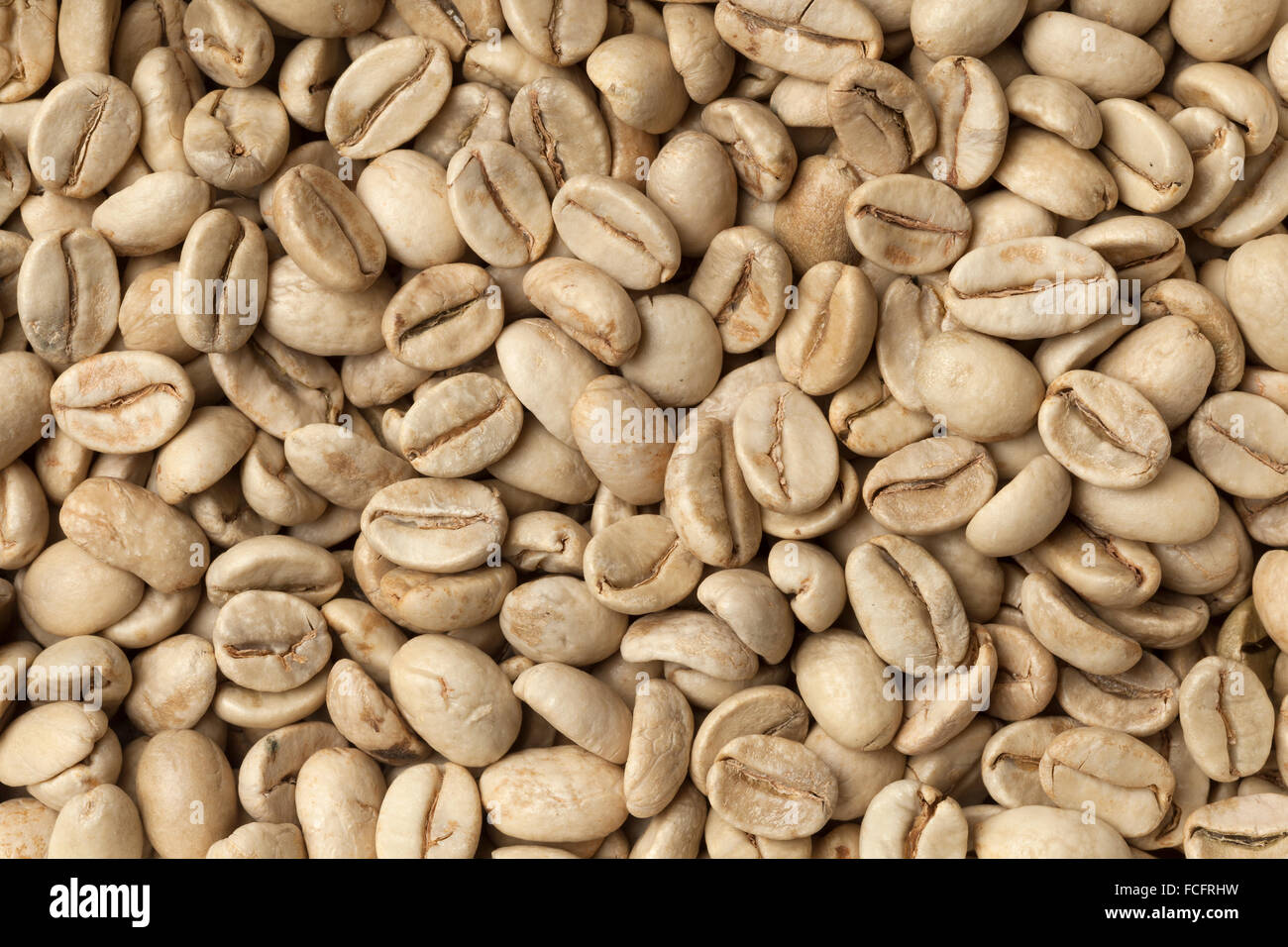 Malabar green unroasted coffee beans from India full frame Stock Photo