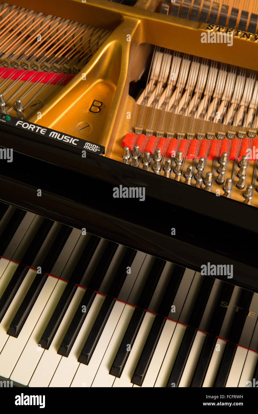 close up shot of a black steinway & sons model b grand piano with the lid open showing the keys, strings and logo Stock Photo