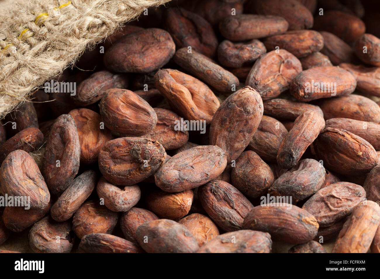 Jute bag full with raw cocoa beans Stock Photo