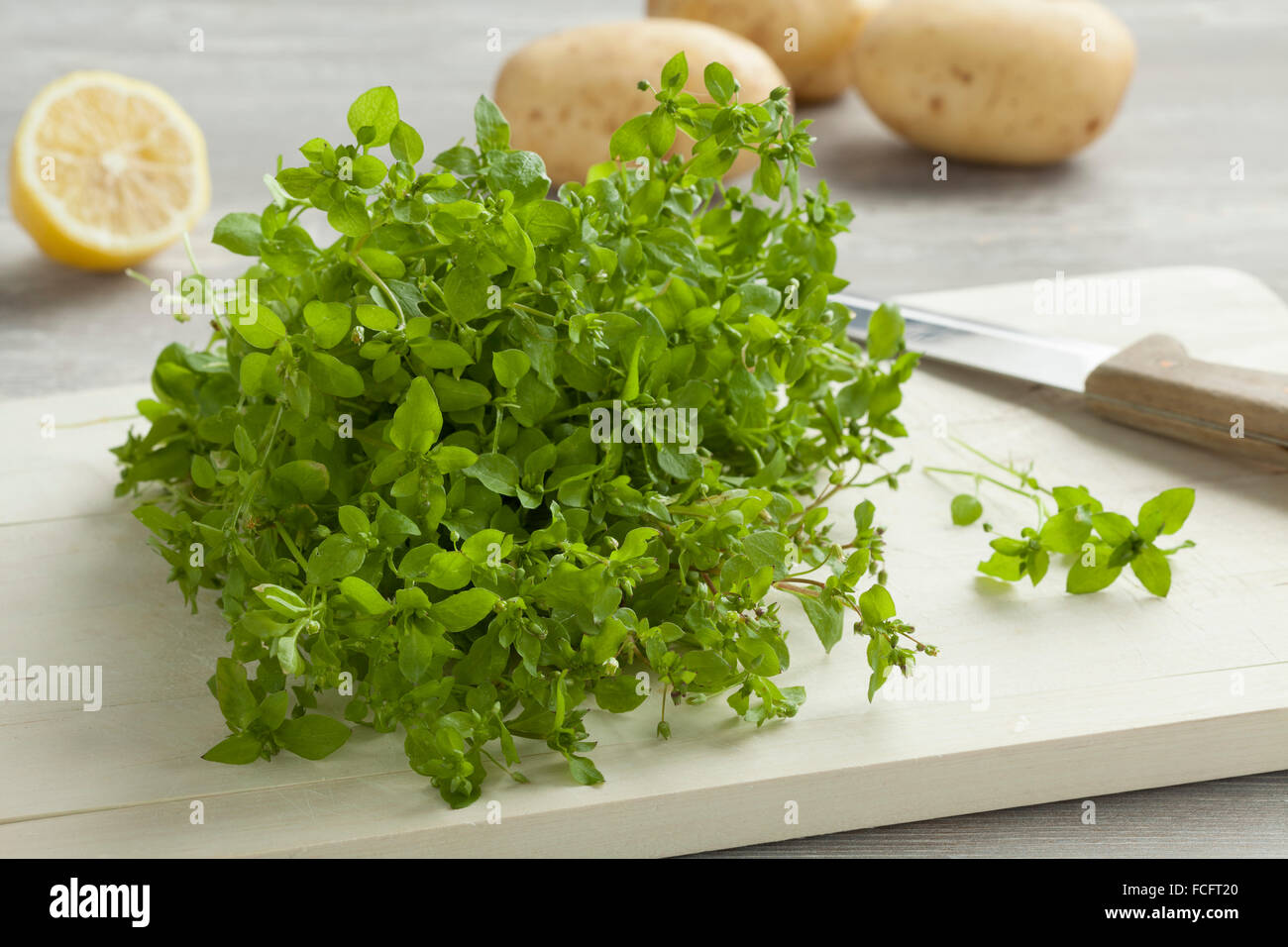 Heap of fresh green chickweed on a cutting board Stock Photo
