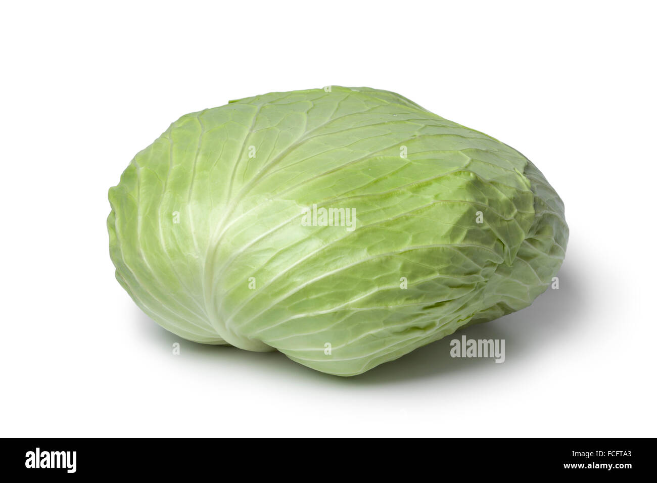 Whole coolwrap cabbage  on white background Stock Photo