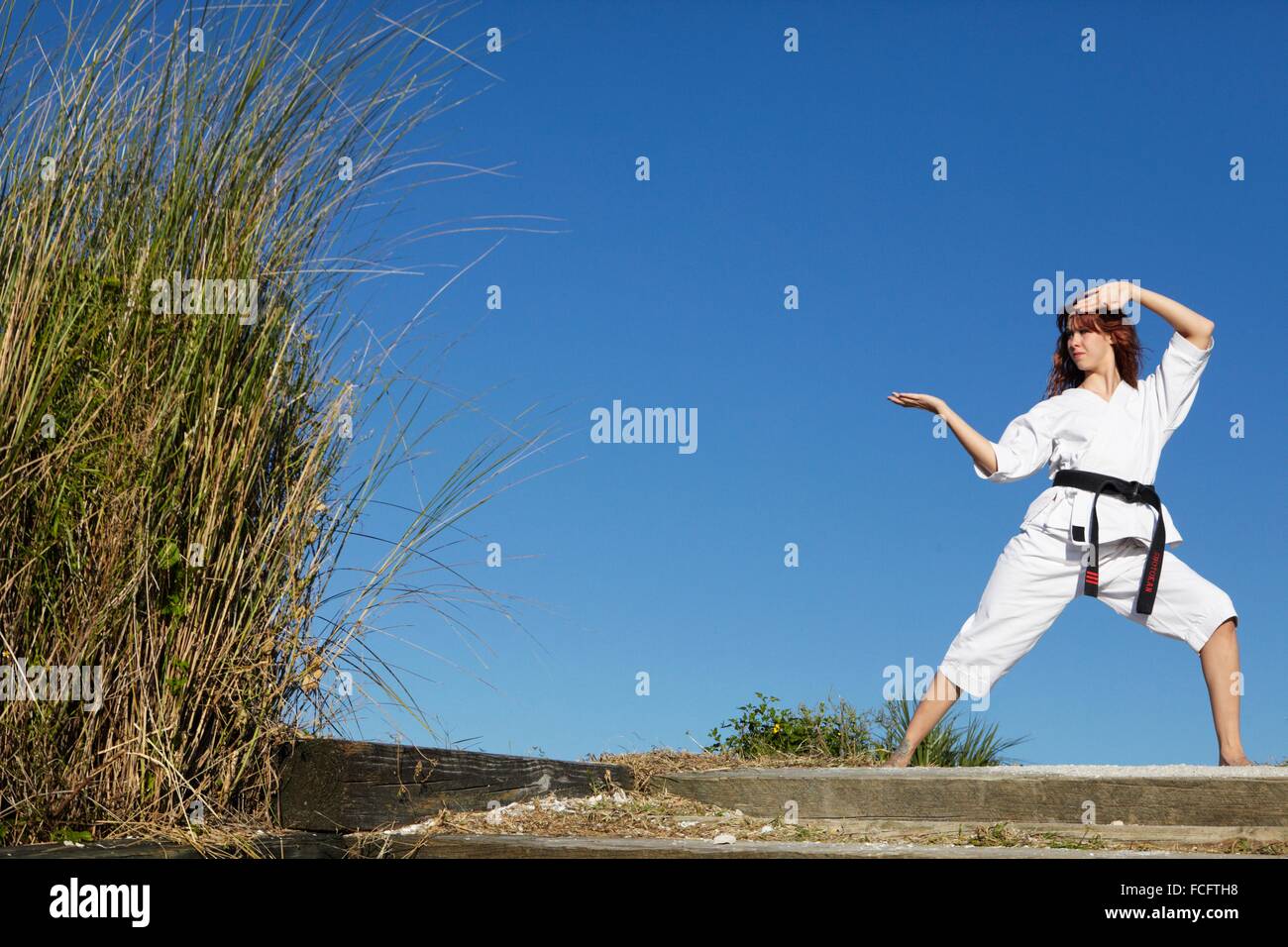 Female martial arts expert practicing Stock Photo Alamy