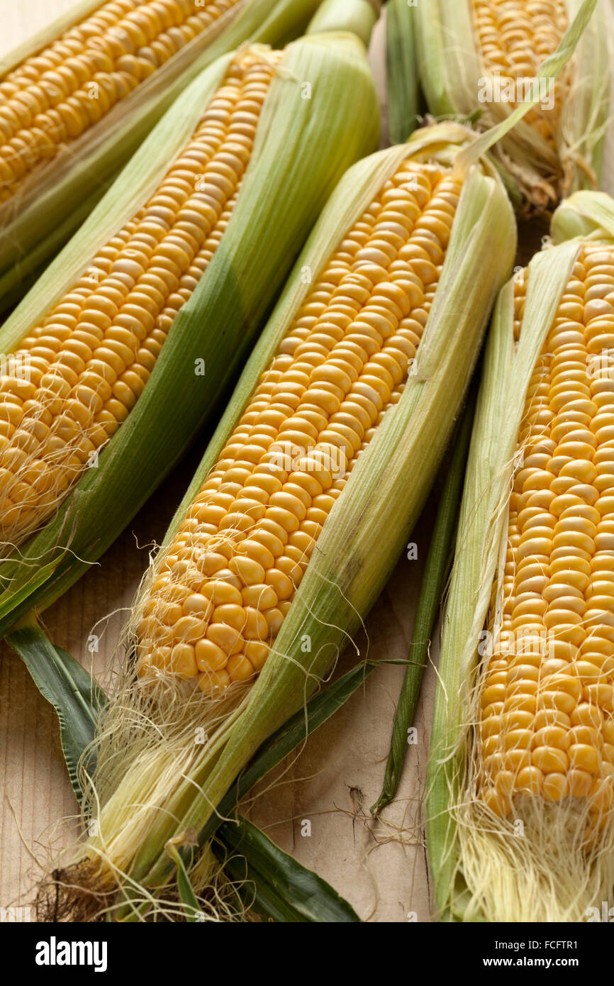 Fresh raw yellow corn on the cob Stock Photo