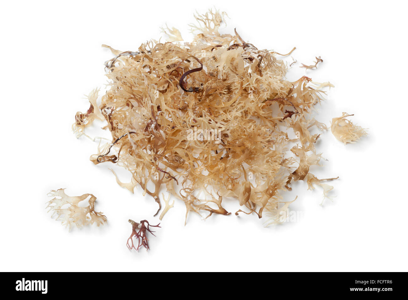 Dried Irish Moss On White Background Stock Photo Alamy dried-irish-moss-on-white-background-stock-photo-alamy
