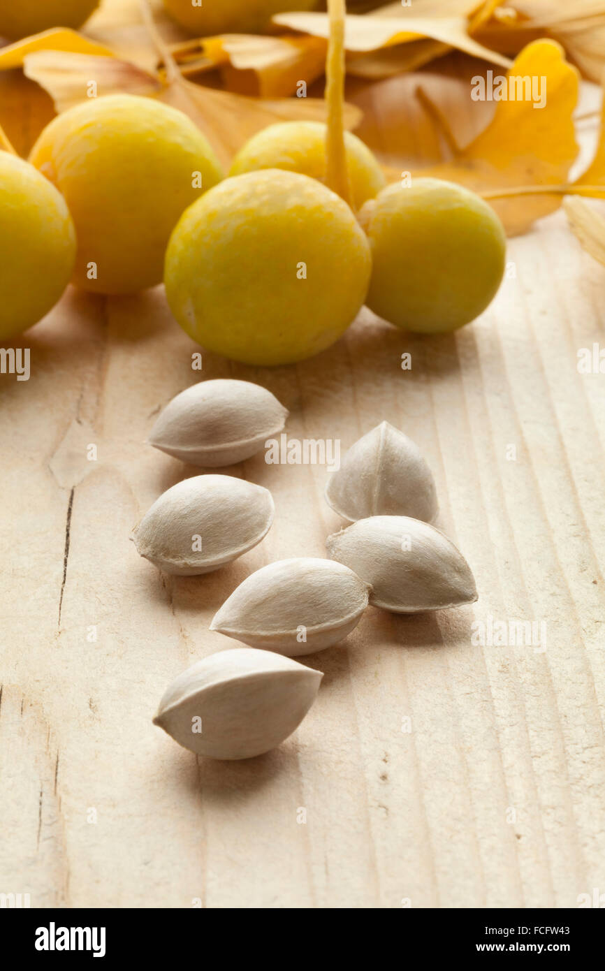 Ripe yellow Ginkgo biloba fruit and nuts Stock Photo