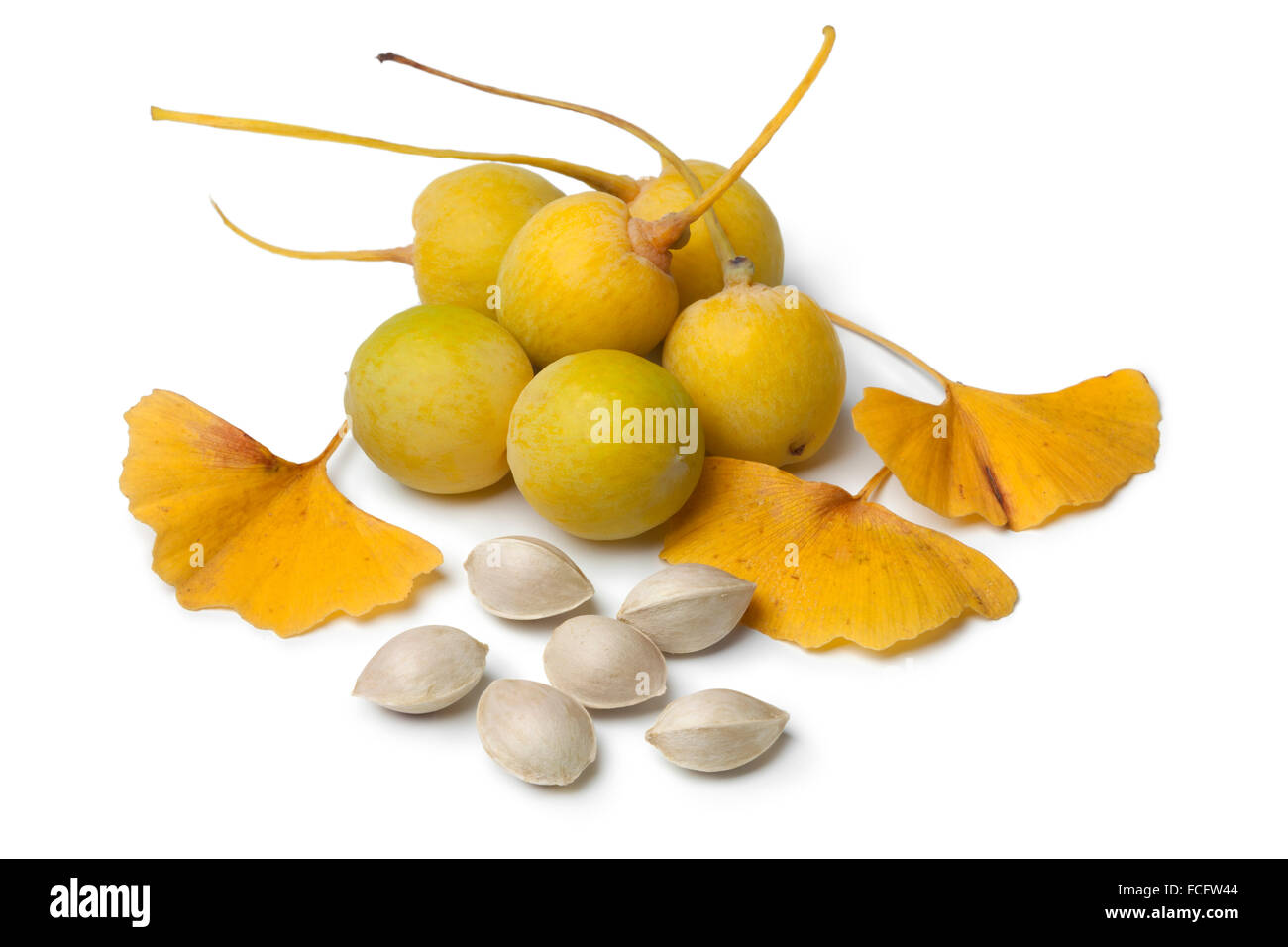 Ripe yellow Ginkgo biloba fruit, nuts and leaves on white background Stock Photo