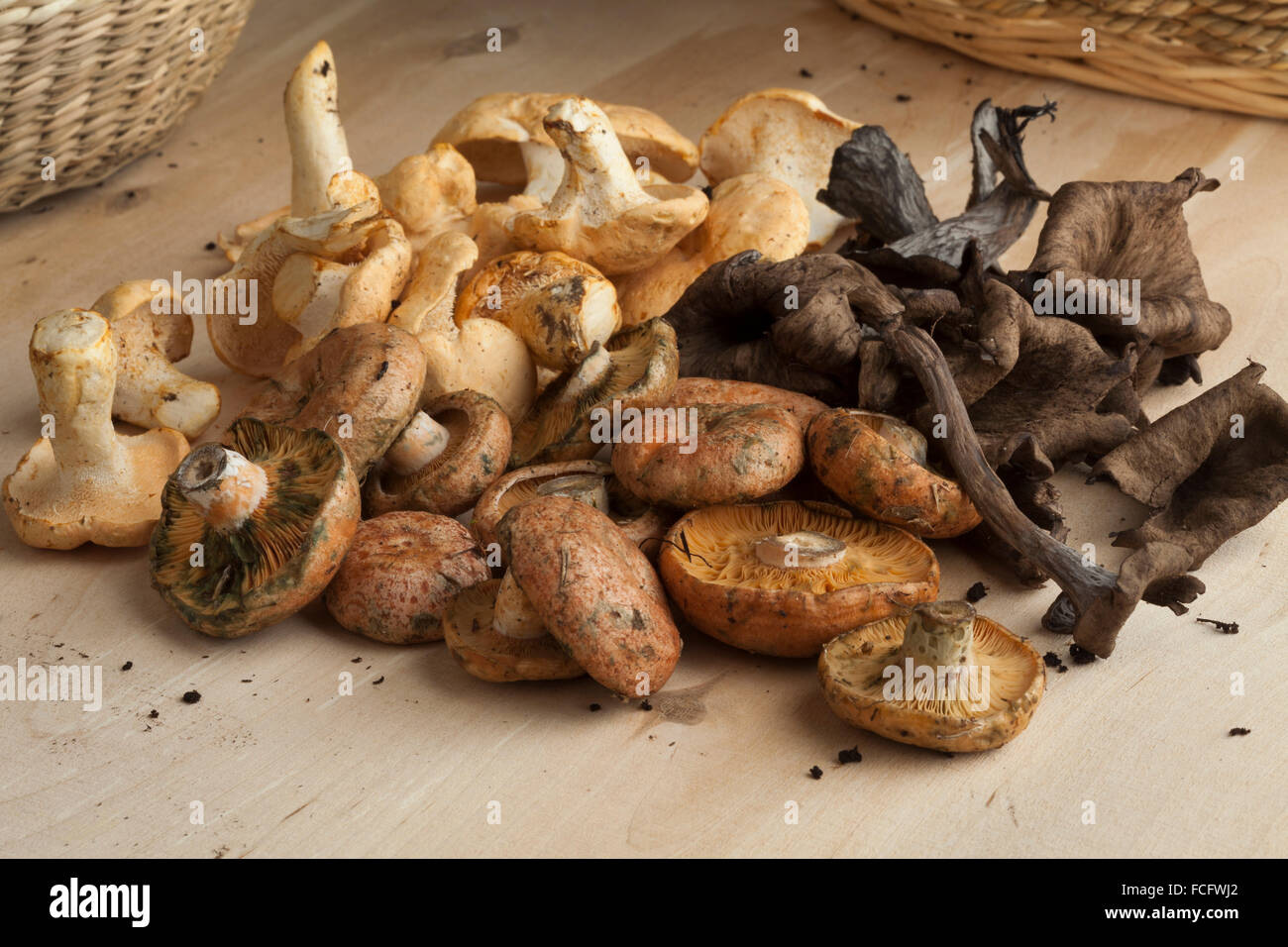 Variety of fresh picked wild mushrooms Stock Photo