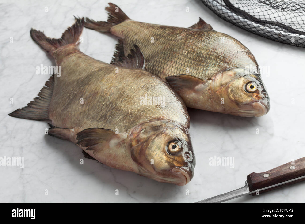 Fresh caught raw common breams Stock Photo