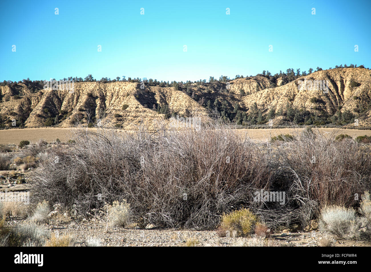 Dry desert scape with hills and dry bushes against a clear blue sky in California Stock Photo