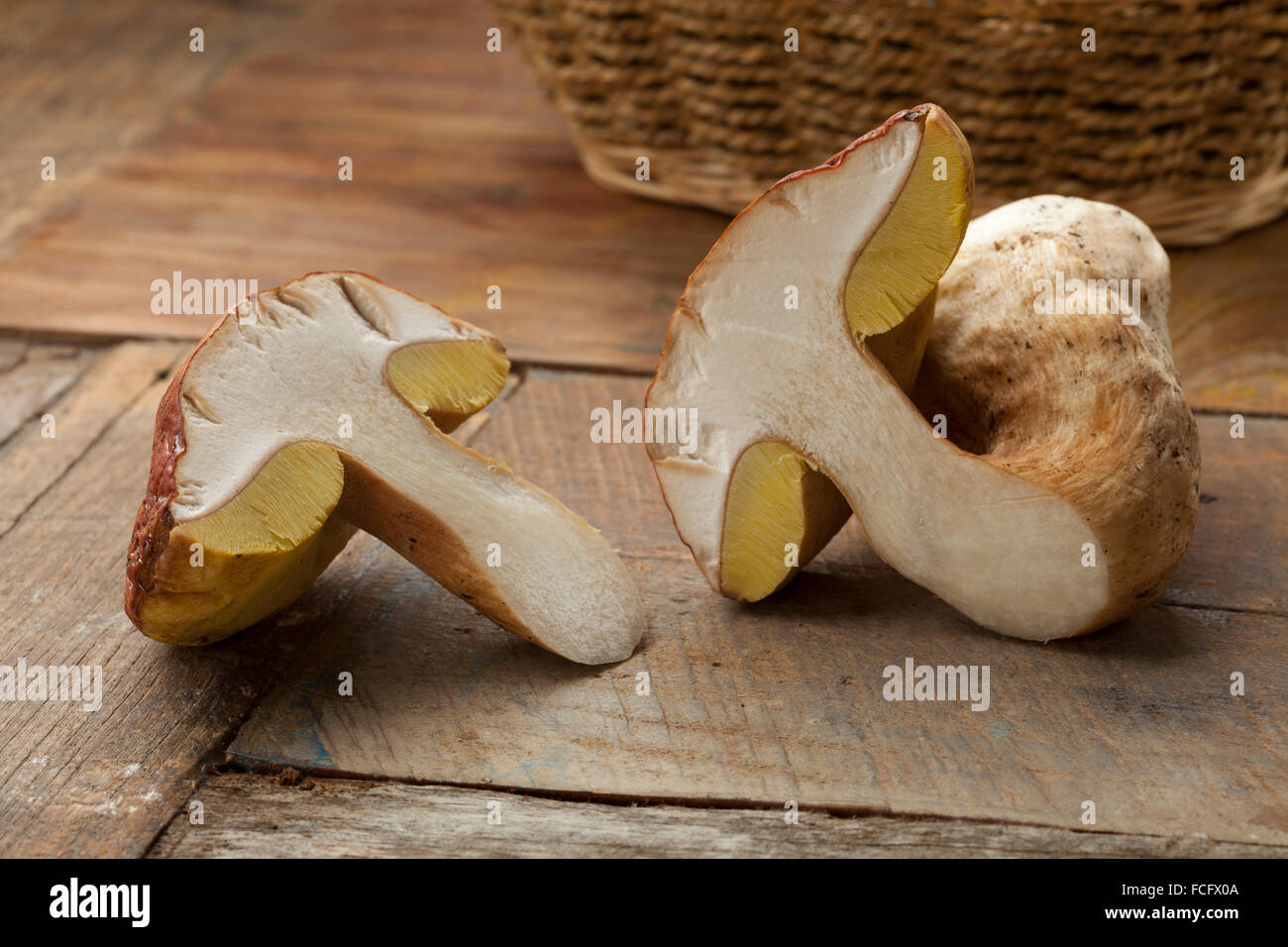 Fresh half porcini mushroom with yellow spores Stock Photo