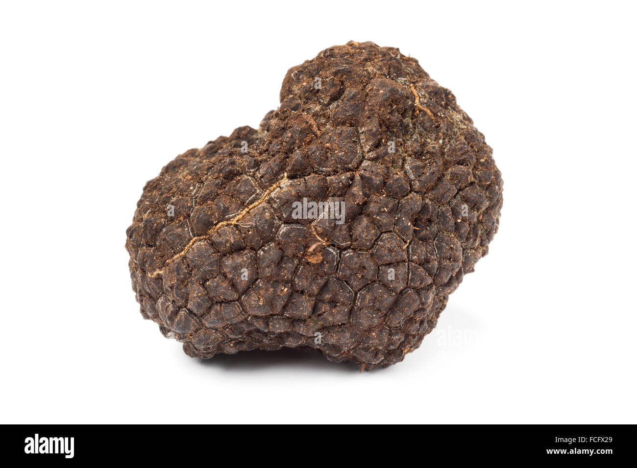 Black truffle food hires stock photography and images Alamy