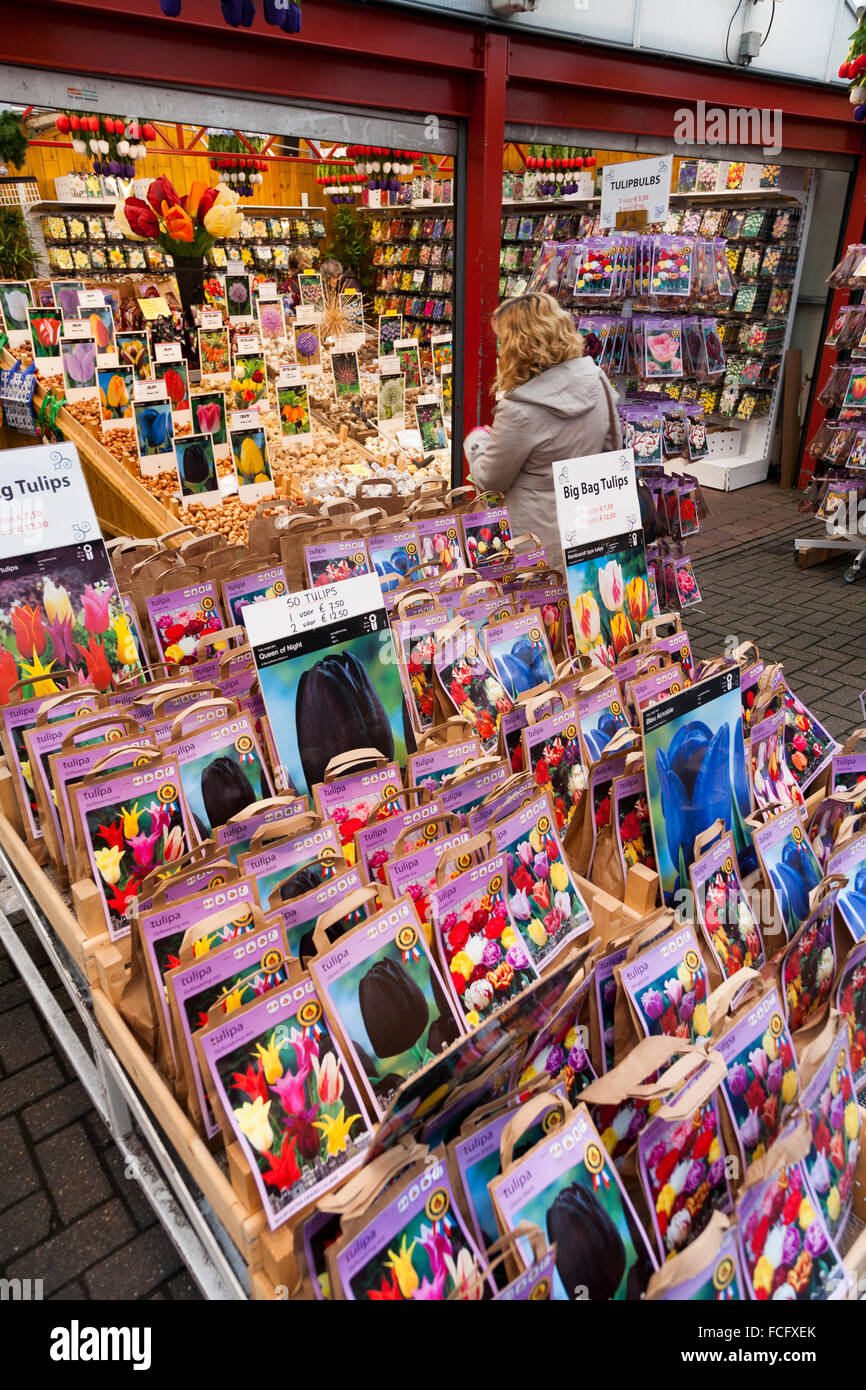 Spring tulip bulbs / tulips for sale in the autumn at the Amsterdam