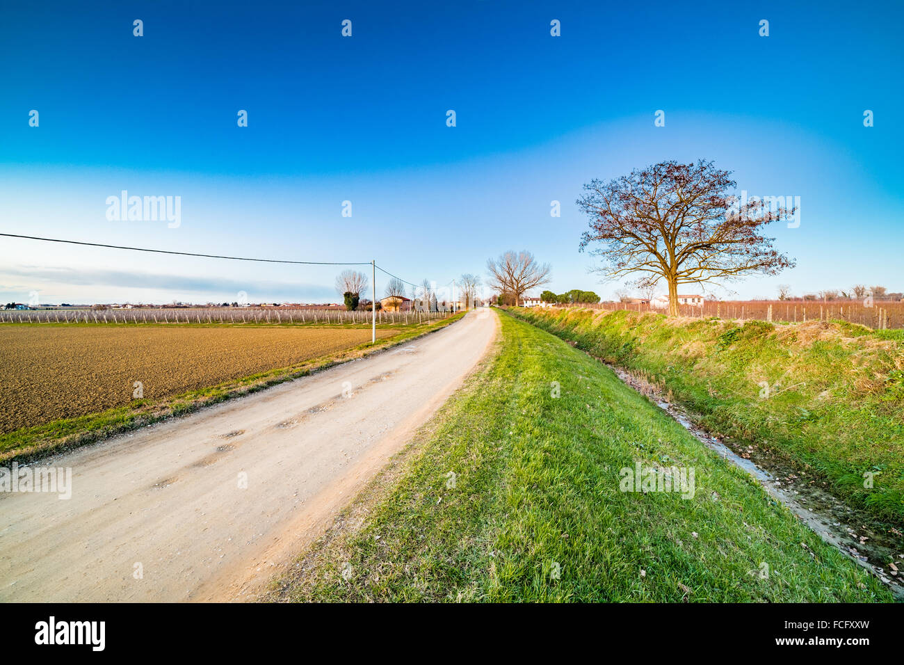 dirt country road passes through cultivated fields plowed by potholes