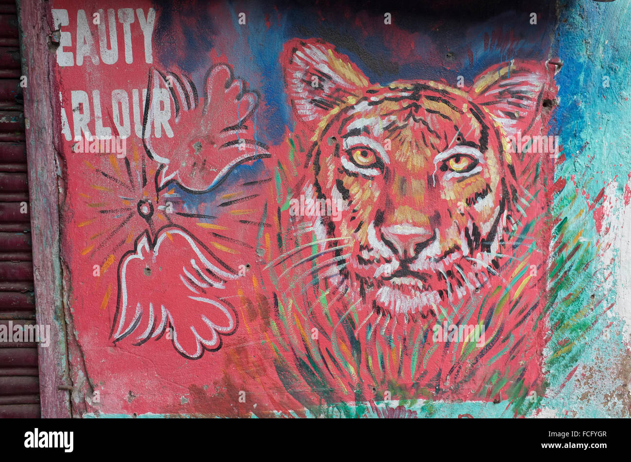 A wall painting of a tiger advertising a beauty parlor. Kolkata (Calcutta), West Bengal, India. Stock Photo