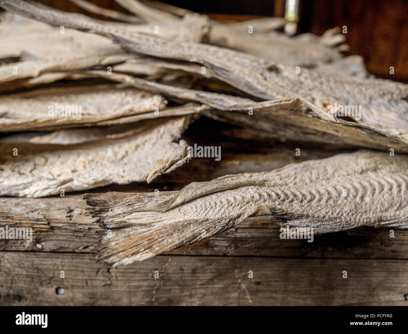 Exhibit of dried fish tails in the Maritime Museum, Isafjordur, Iceland